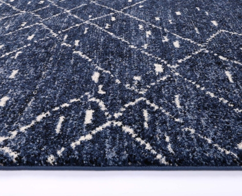 SAPP06-BLUE-_2
