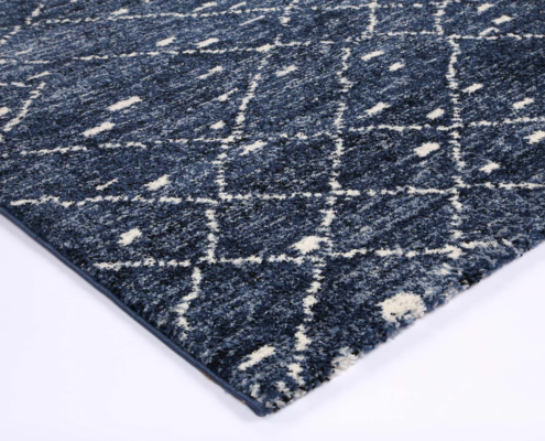 SAPP06-BLUE-_3