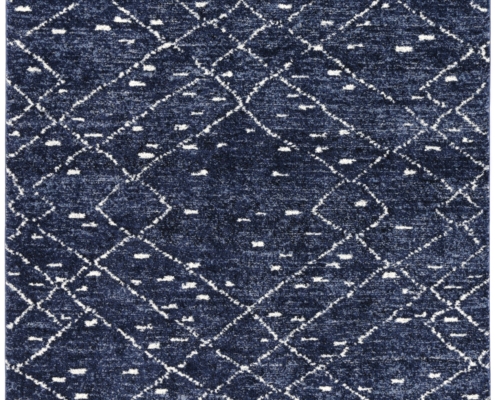 SAPP06-BLUE_1