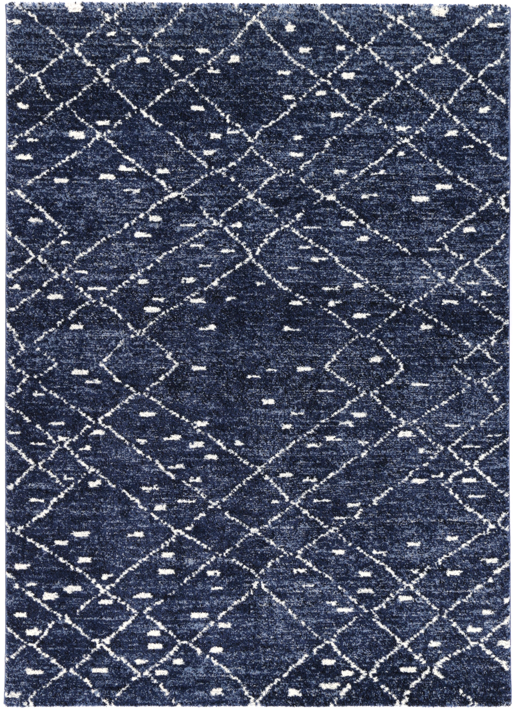 SAPP06-BLUE_1